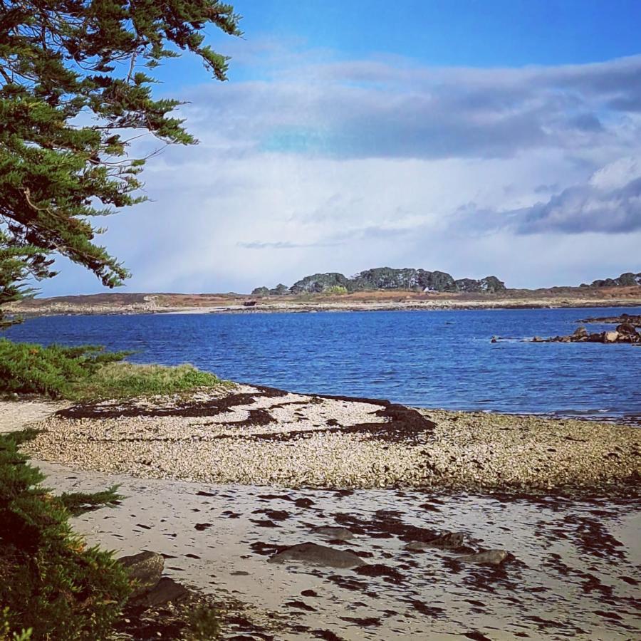 Dependance Spacieuse & Cosy Entre Et Mer Avec Spa Landéda エクステリア 写真
