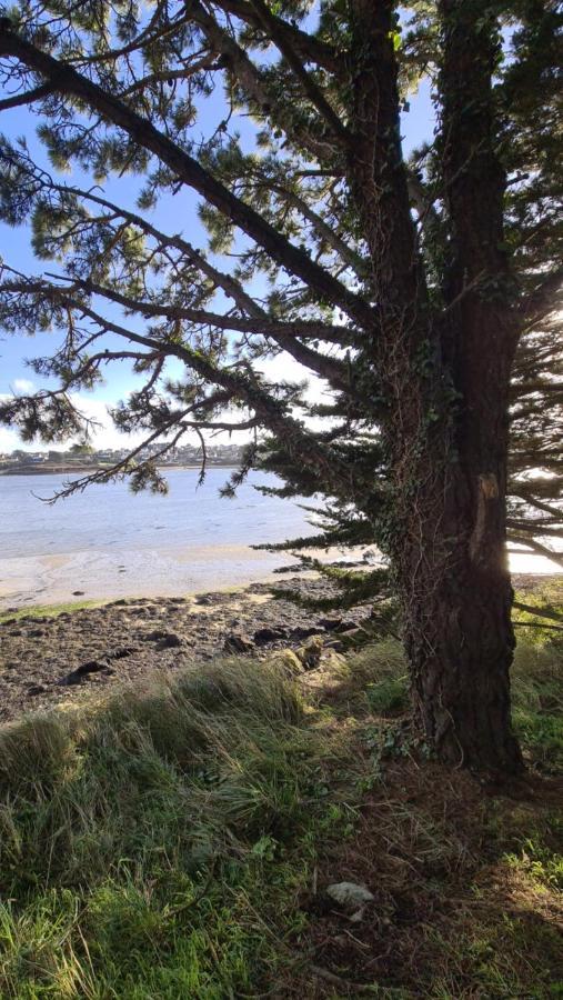 Dependance Spacieuse & Cosy Entre Et Mer Avec Spa Landéda エクステリア 写真